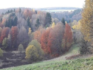 Appartamento Friedrichshöhe (Sachsenbrunn) Ambiente 23