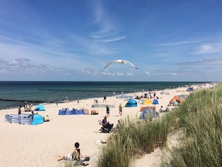 Ostseestrand in Zingst
