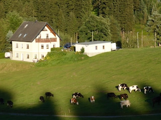 Apartamento de vacaciones Stützengrün Grabación al aire libre 4