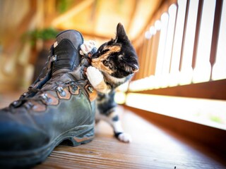 Appartamento per vacanze Tiers Registrazione all'aperto 12