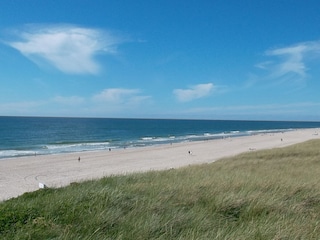 Ihr Strand am Tag
