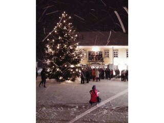 Vakantieappartement Altmünster Omgeving 26