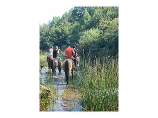 Casa per le vacanze Karlobag Ambiente 17