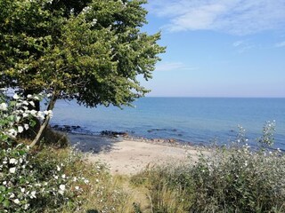 Appartement de vacances Burg auf Fehmarn Environnement 17
