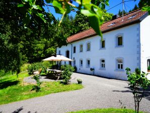 Holiday house Remise am Alfbach