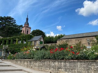 Die Rosenstadt Eltville