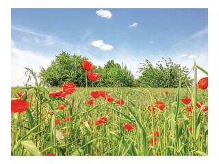 Casa vacanze Mulazzo Registrazione all'aperto 17