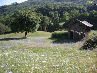 Casa vacanze Mulazzo Registrazione all'aperto 20