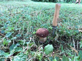 Casa vacanze Mulazzo Ambiente 35