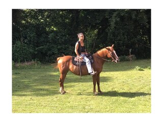 Casa vacanze Mulazzo Ambiente 38