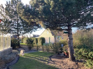 Casa per le vacanze Julianadorp Registrazione all'aperto 8