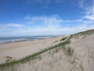 Vakantiehuis Julianadorp Omgeving 32