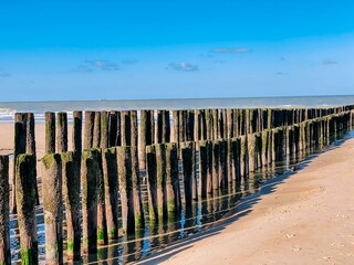 Vakantieappartement Domburg Omgeving 18