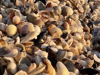 Ferienhaus Sellin Umgebung 38