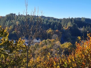 Blick ins Grüne vom Sz