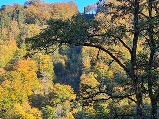 Blick auf den Dronketurm
