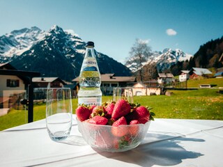 Apartment Mittelberg Features 24