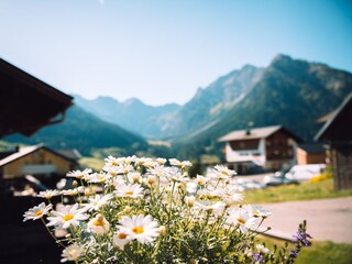 Apartment Mittelberg Outdoor Recording 7