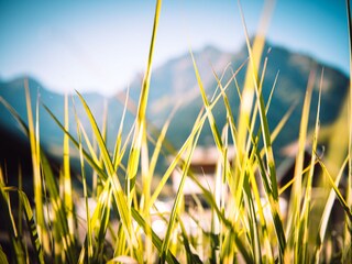 Apartment Mittelberg Outdoor Recording 10