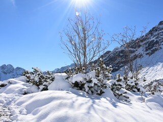 Apartment Mittelberg Environment 31