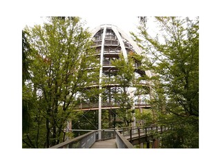 Baumwipfelpfad Naturerbe Zentrum Prora