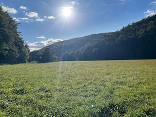Landschaft