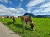 Wiesen vor dem Grundstück - Ausblick