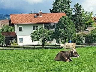 Haus Fewo 1OG Außenansicht