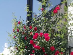 Appartement de vacances Monte Video, WG Resi, 1. OG