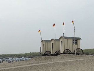 An der weißen Düne