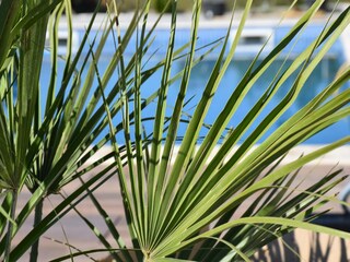 Casa de vacaciones Aheloy Grabación al aire libre 9