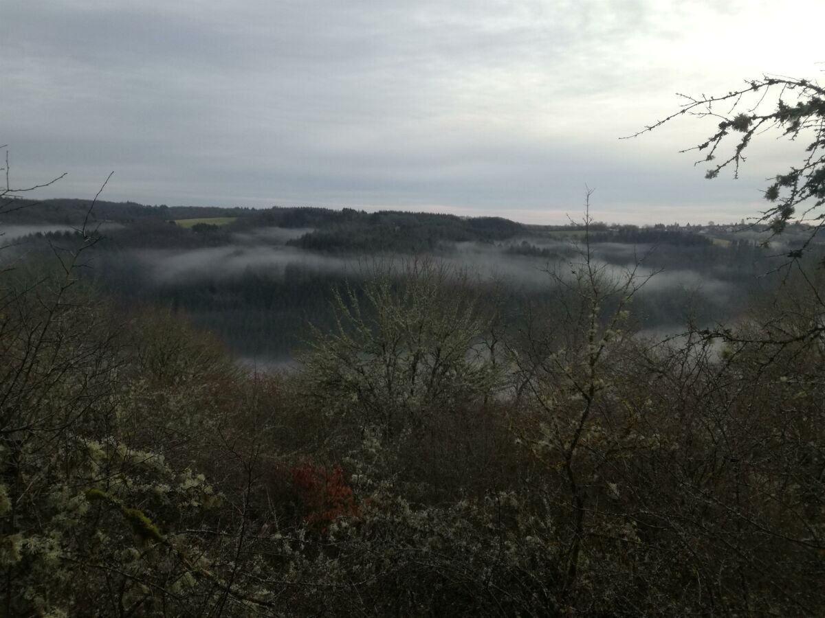 vernebelter Morgen auf dem Burgberg