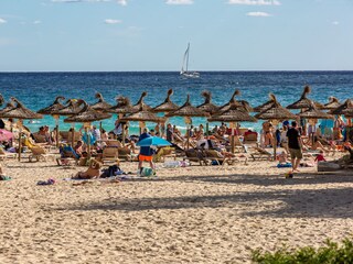 Appartamento per vacanze Cala Mendia Ambiente 33