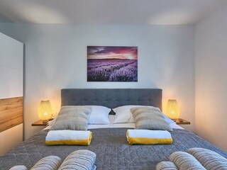 Villa Šišan Características 34