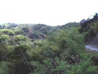 The surrounding