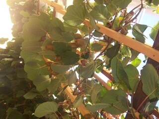 Appartamento per vacanze Latsch Ambiente 27