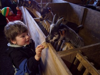 Appartamento per vacanze Latsch Ambiente 37