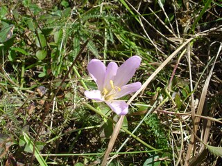 Appartamento per vacanze Latsch Ambiente 35