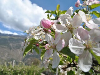 Appartamento per vacanze Latsch Pianta del piano 39