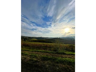 Holiday apartment Santa Vittoria d'Alba Outdoor Recording 8
