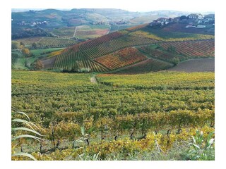 Ferienwohnung Sommariva Perno Außenaufnahme 20