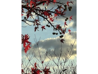 Im Herbst