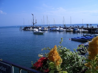 Ferienwohnung Familie Kleinert im Westallgäu - Bodensee