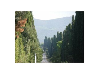 Strada Bolgherese - auf dem Weg zum Ferienhaus