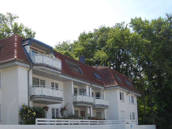 Singletreff usedom
