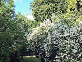 Ferienhaus Broager  21