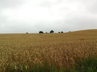 Maison de vacances Broager  39