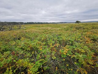 Maison de vacances Højby  26