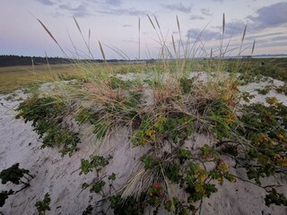 Vakantiehuis Højby  27