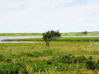 Vakantiehuis Højby  28